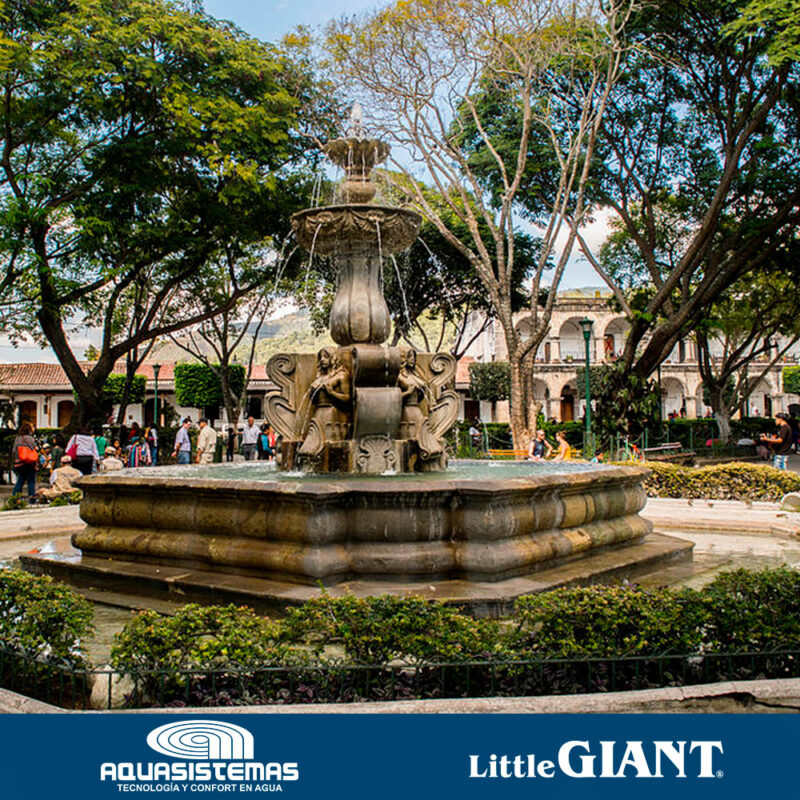 BOMBA PARA FUENTE 5-MSP LITTLE GIANT - Imagen 4