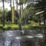 FLOATING FOUNTAIN 45393 LIGHT 1/2 HP 120 - Imagen 4